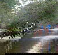 The Man From Snowy River Bush Festival - Accommodation Directory