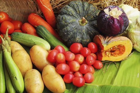 The Entrance Market - Accommodation Directory 0