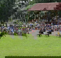 Tumut Boxing Day Races - Accommodation Directory