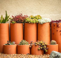 Tumbarumba Spring Flower Festival - Accommodation Directory