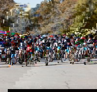Wagga Lake Run Ride - Accommodation Directory