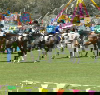 Wangaratta Show - Accommodation Directory