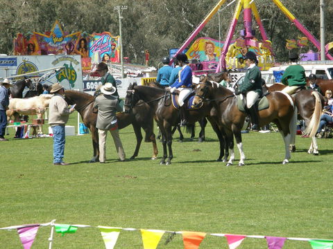 Wangaratta Show - Accommodation Directory 0