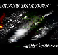 Wildfest - Annual Festival - Accommodation Directory