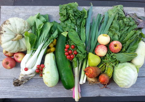 Wingham Farmers Market - Accommodation Directory 0
