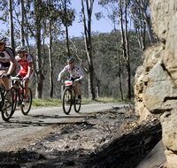 Wollombi Wild Ride Mountain Bike Ride - Accommodation Directory