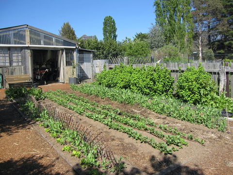 All Season Cold Climate Organic Vegetable Growing - Accommodation Directory 1