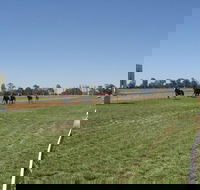 Balranald Races -Derby Day - Accommodation Directory