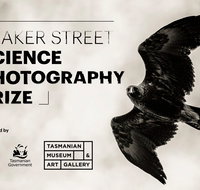 Beaker Street Science Photography Prize - Accommodation Directory