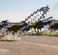 Bedourie Races and Rodeo - Accommodation Directory