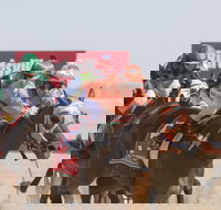 Birdsville Races - Accommodation Directory