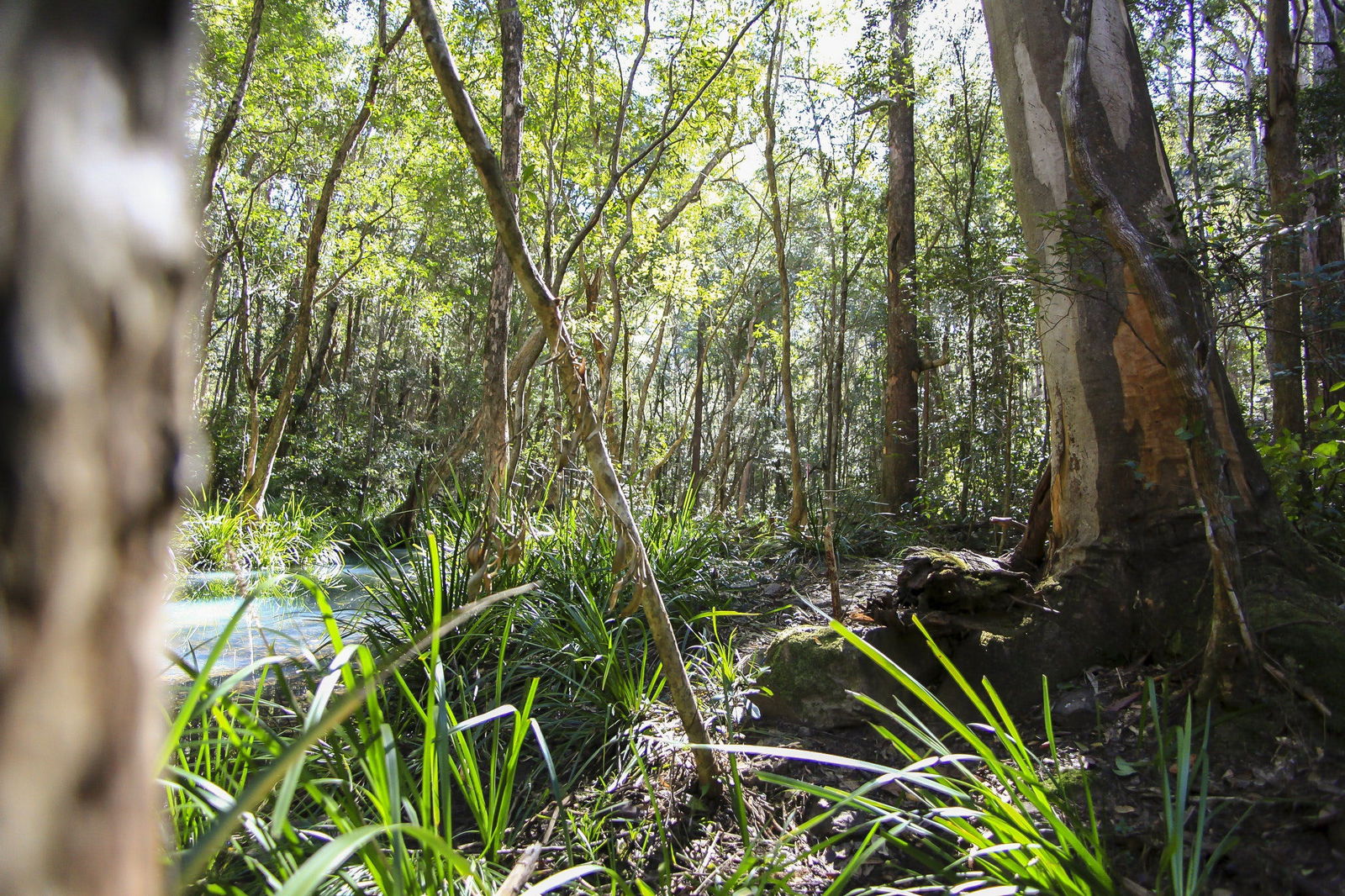 Herons Creek NSW Accommodation Directory
