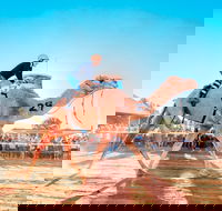 Boulia Camel Races - Accommodation Directory
