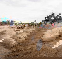 Broulee New Year's Eve Sandcastles and Sculptures