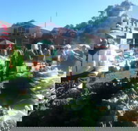 Brown Hill Market - Accommodation Directory