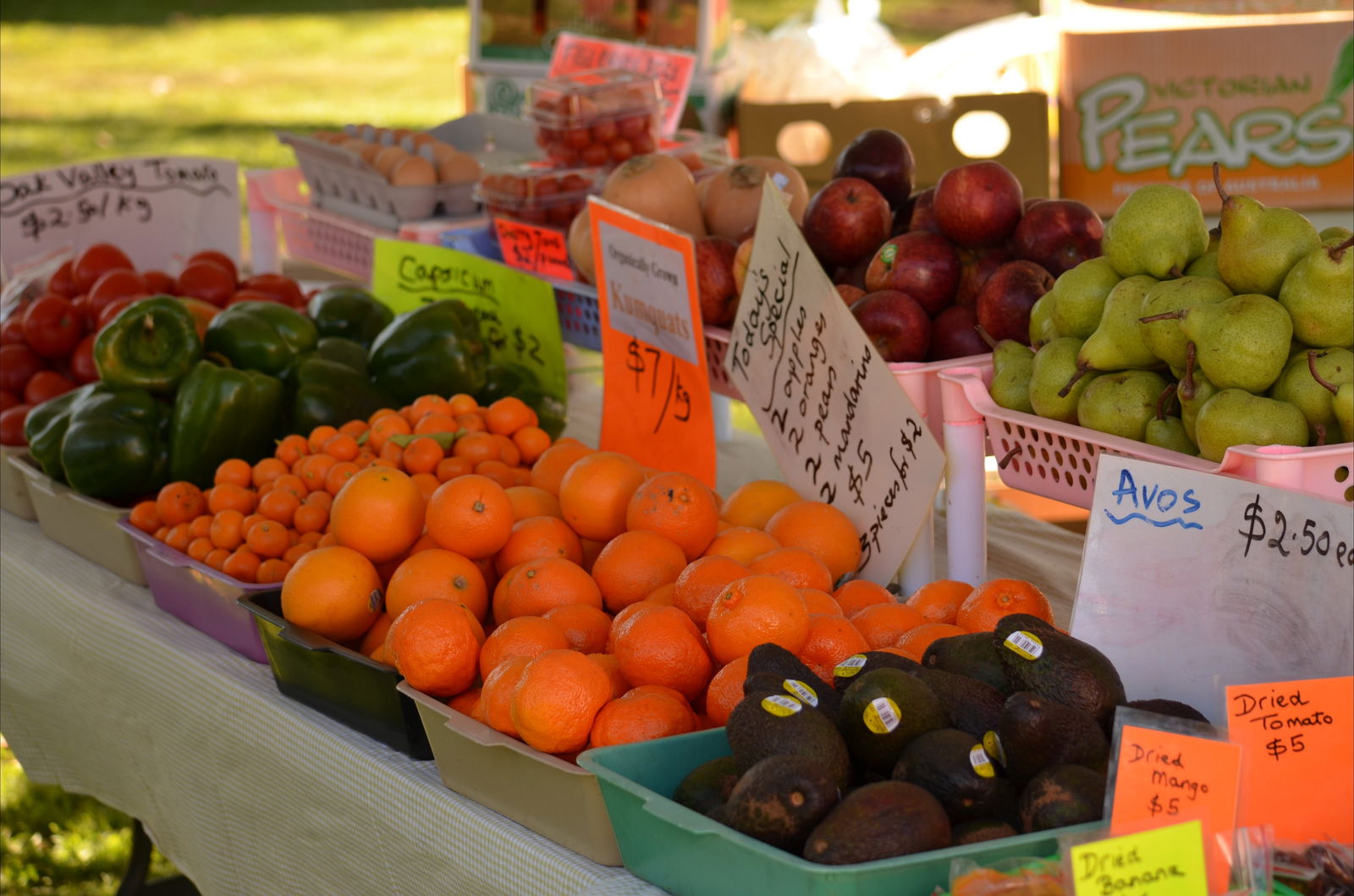 Hutton Creek QLD Accommodation Directory