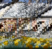 Daffodils at Rydal - Accommodation Directory