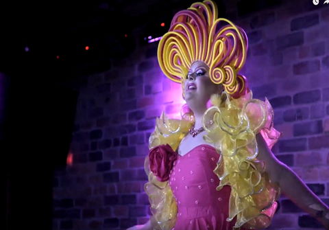 Dragalicious At The Avenue - Accommodation Directory 0