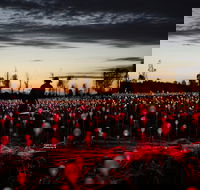 Field of Light Uluru - Accommodation Directory