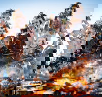 Fires in the Sky at Dindima - Accommodation Directory