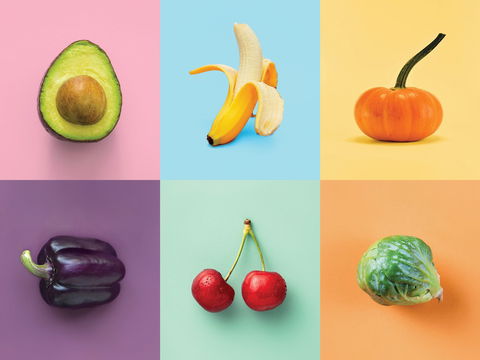 Food For Thought: Nutrition Decisions - Accommodation Directory 0