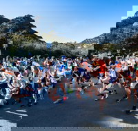 Freycinet Challenge - Accommodation Directory