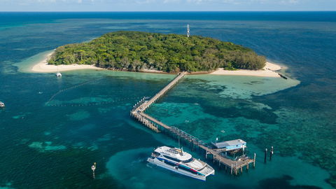 Great Adventures Green Island Ocean Swim - Accommodation Directory 0