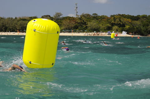 Great Adventures Green Island Ocean Swim - Accommodation Directory 1