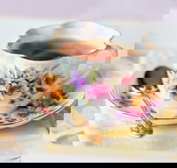 High Tea on the Turf - Accommodation Directory