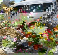 Johns River Country Markets - Accommodation Directory