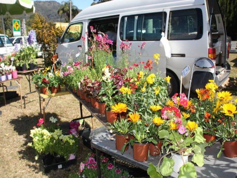 Johns River Country Markets - Accommodation Directory 0