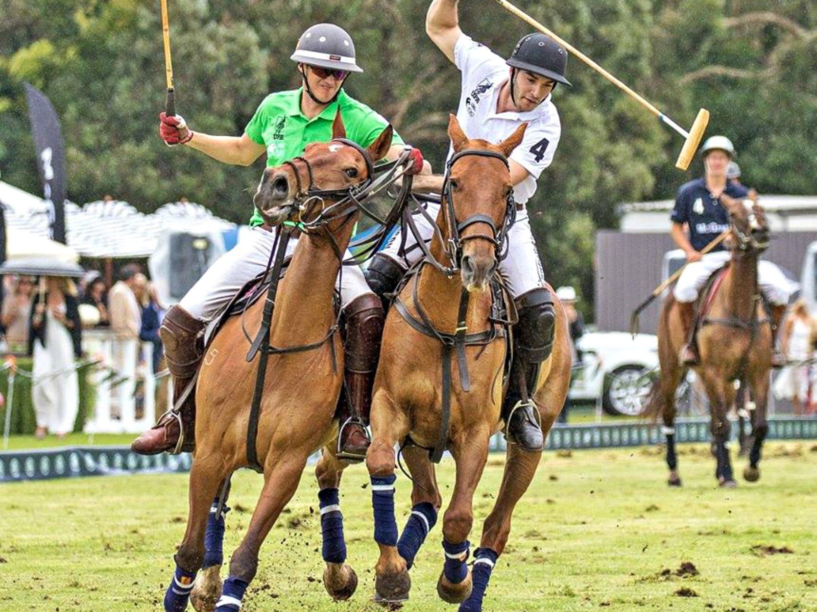 Centennial Park NSW Accommodation Directory