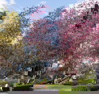 Leura Gardens Festival - Cancelled - Accommodation Directory