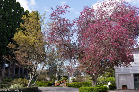 Leura Gardens Festival - Cancelled - Accommodation Directory 0