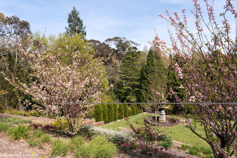 Leura Gardens Festival - Cancelled - Accommodation Directory 2