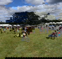 Majors Creek Festival - Accommodation Directory