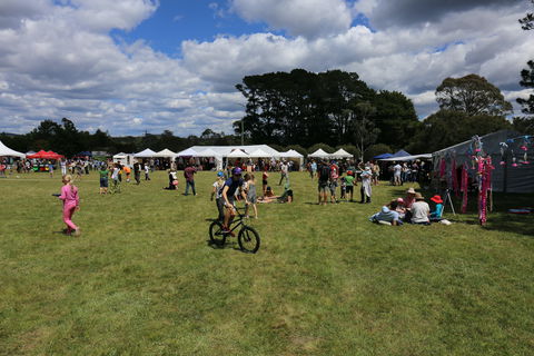 Majors Creek Festival - Accommodation Directory 0