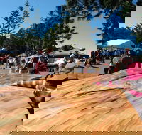 Maleny Wood Expo From Seed to Fine Furniture - Accommodation Directory