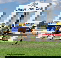 Moree Race Club TAB Race Day - Accommodation Directory