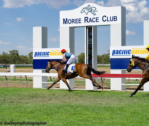 Moree Race Club TAB Race Day - Accommodation Directory 0
