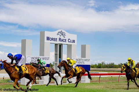 Moree Race Club TAB Race Day - Accommodation Directory 1