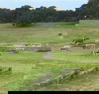 Mount Gambier and District Pony Club Horse Trials 2020 - Accommodation Directory