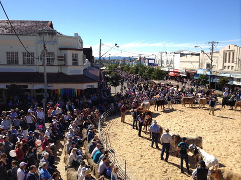 NCMC Casino Beef Week - Accommodation Directory 0