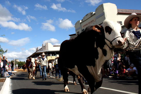 NCMC Casino Beef Week - Accommodation Directory 1