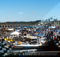 Ocean Harvest Festival - Accommodation Directory