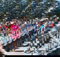 Port Broughton Annual Rubber Duck Race - Accommodation Directory