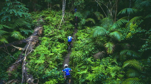 Reef To Reef - Accommodation Directory 7