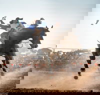 Rodeo by the Sea - Streaky Bay - Accommodation Directory