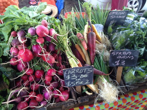 South Geelong Farmers Market - Accommodation Directory 0