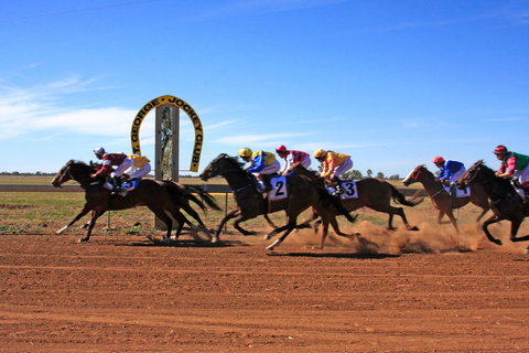 St George Cup Race - Accommodation Directory 0